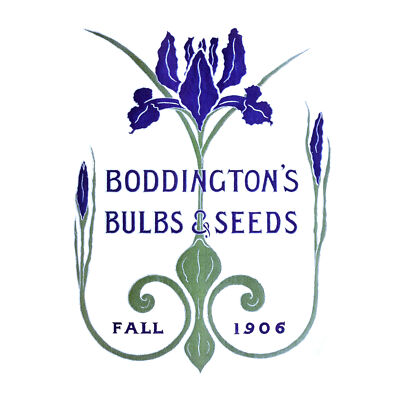 Boddingtons Samen Zwiebeln Herbst 1906 großer Wandkunstdruck 18 x 24 Zoll