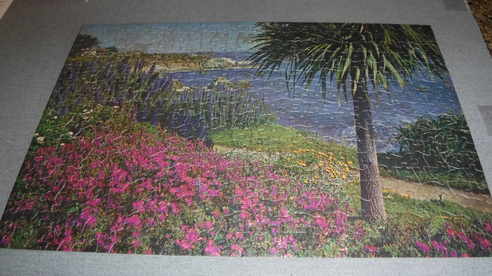 Picture 2 of 11