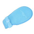 Afbeelding 24 van 24