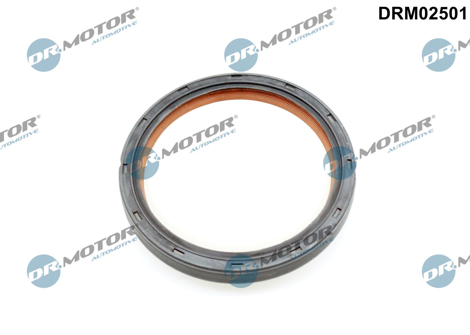 DRM02501 Dr.Motor Automotive Shaft Seal, camshaft for BMW