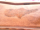 Vintage Cleveland Browns, Tommy James autograph on camera bag, from the 1950s — photo 2