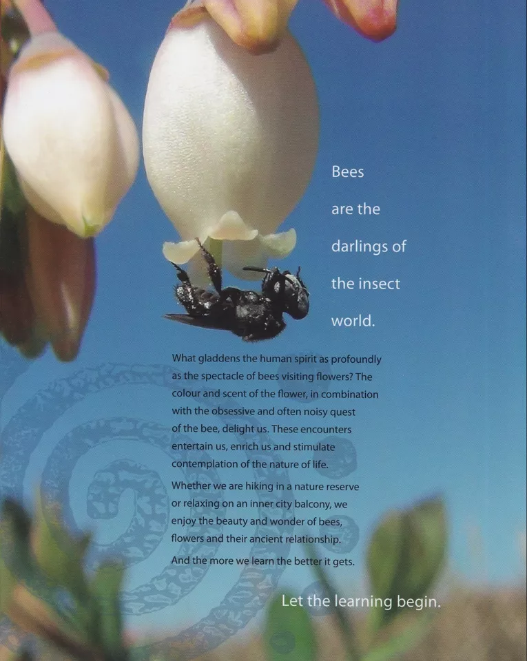  Tim Heard Australian Stingless Bees | Native Bee Book | OATH Beehive | Sugarbag - image 2 of 4