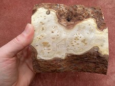 Birdseye Cotinus Bowl Blank-with void within and some nice figure with.