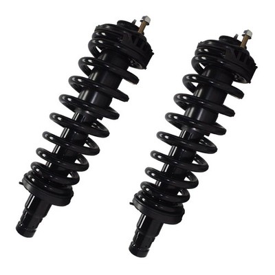 Pair Front Struts & Springs Assembly Black Coil D171341-2