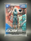 Cobra Ninja Viper Classified GI Joe Custom With Hard Case And Framed Mini Poster