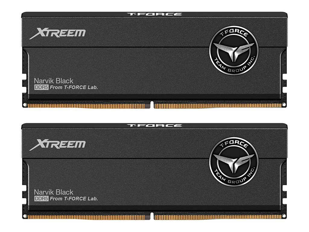 Team Group RAM Team D5 8000 48GB C38 T-Force FFXD548G8000HC38EDC01