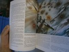 Bild 11 von 12