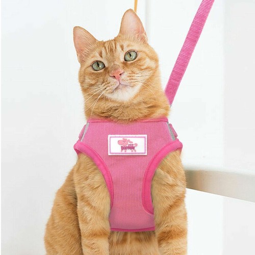 Kleine Hunde Katze Atmungsaktiv Netz Geschirr Weste Halsband Brustgurt Leine Größe XS-XL - Bild 9 von 16