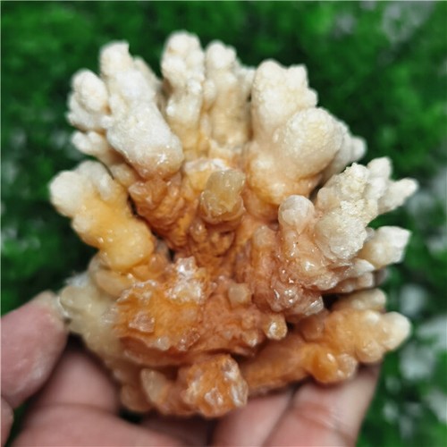 The symbiotic of natural Zincite flower crystal and sugar white yellow stalacti - Picture 10 of 10