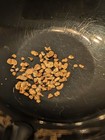 0.100 Gram Calif. High Purity Raw Placer Gold From The Beautiful Yuba River.  — photo 1