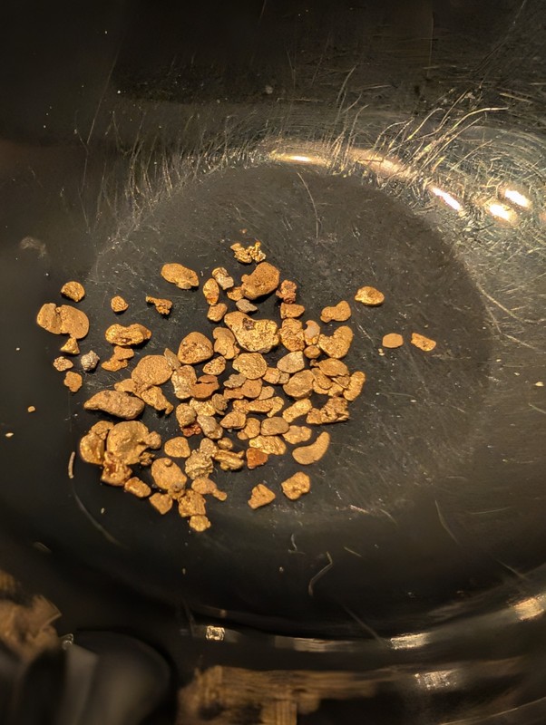 0.100 Gram Calif. High Purity Raw Placer Gold From The Beautiful Yuba River. 