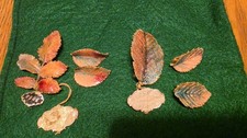 (2) Vtg. Vienna Wood Leaves Austria 24K Gold Pltd Enamel Brooch Earrings Set NOS