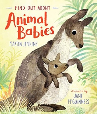 Find Out About ... Animal Babies, Jenkins, Martin