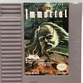 Vintage The Immortal (Nintendo NES, 1990) EA Wizard RPG Game Cartridge Only
