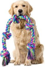 Vielseitiges Hundespielzeug f&uuml;r Drinnen und Drau&szlig;en - Sicheres Spielvergn&uuml;gen