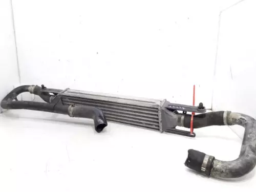 866452000 Intercooler para FIAT GRANDE PUNTO (199) 2007 7169660 - Imagen 1 de 9