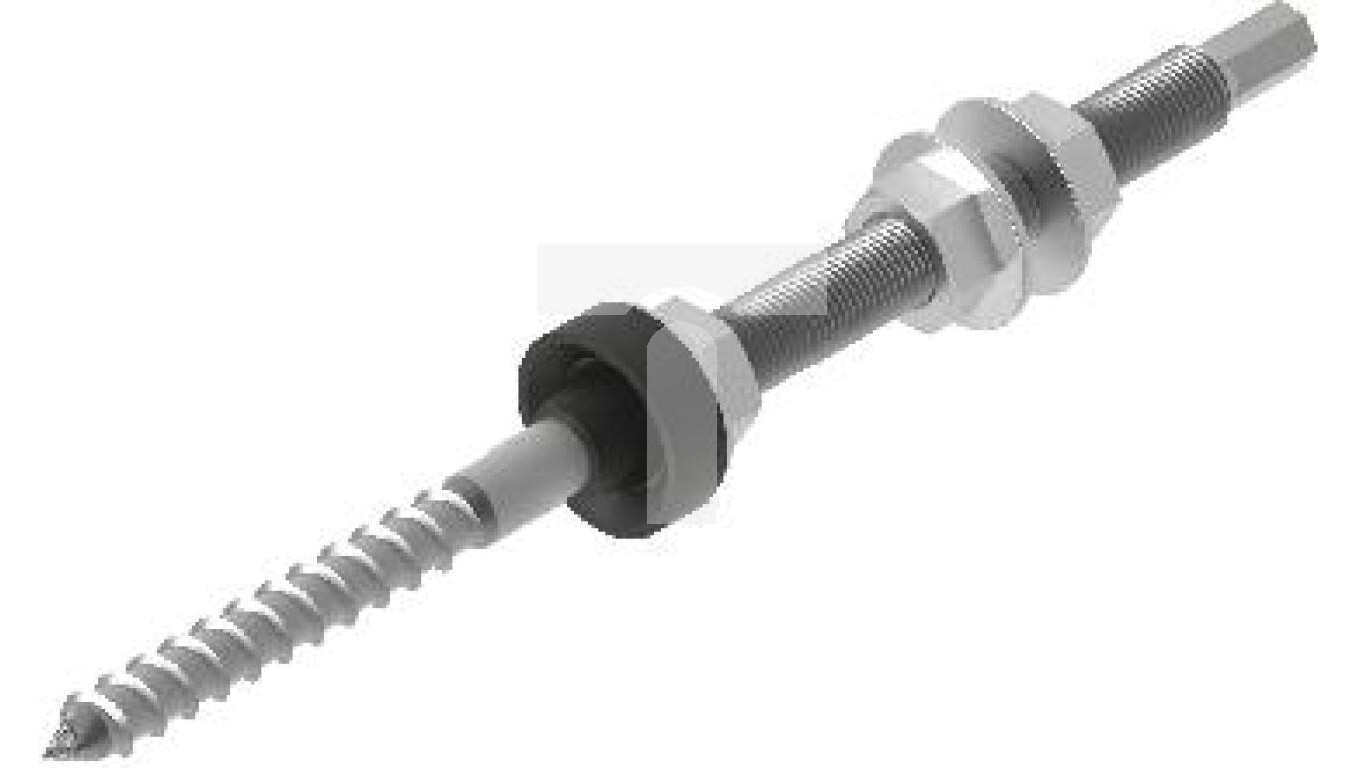 Double thread screw SWDM10x250E 898825 /T2UK