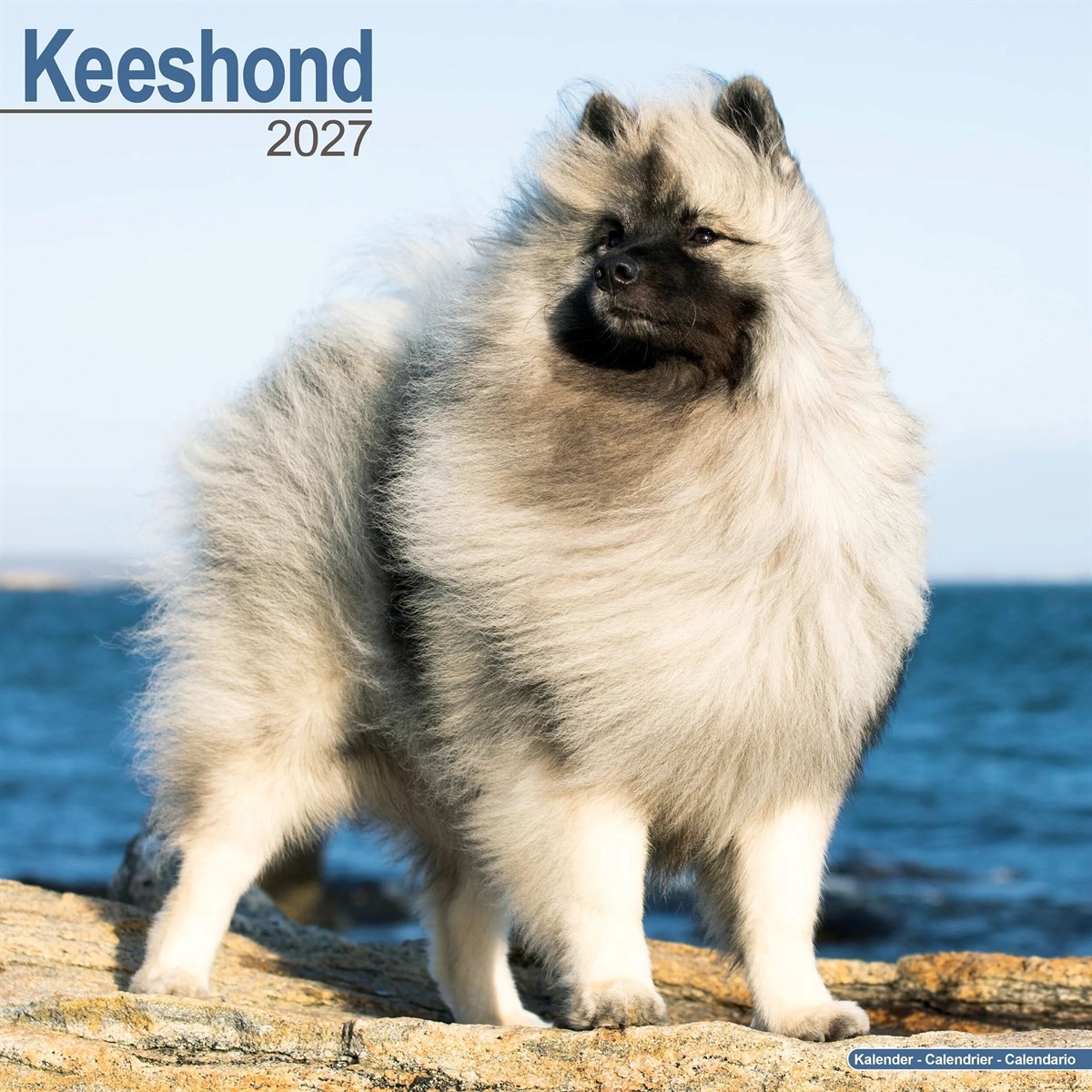 Keeshond Calendar 2027, Wall Calendars, Month To View, Dogs, Gift