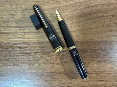Platinum Platinum Fountain Pen Music