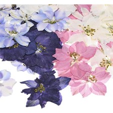 48er-Pack Getrocknete gepresste Blumen Nat&uuml;rliche Trockenblumen Bastel Schmuc...