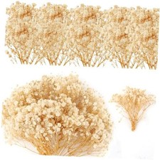 6500 White Dried Baby's Breath Flowers Bouquet, 100Pcs Mini Real Natural Blue