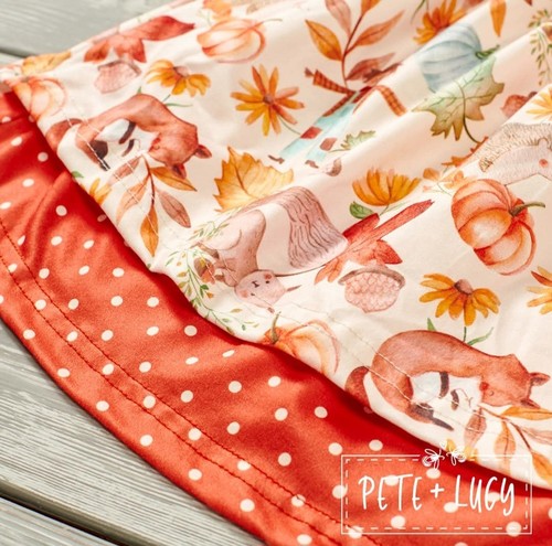 4T Pete And Lucy Forest Friends Dress NWT - Picture 2 of 5