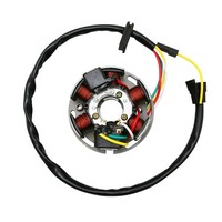 Stator ZüNdung 50Ccm Passend FüR Minarelli 50 AM6 (Ducati) (Langer Kabelbaum O