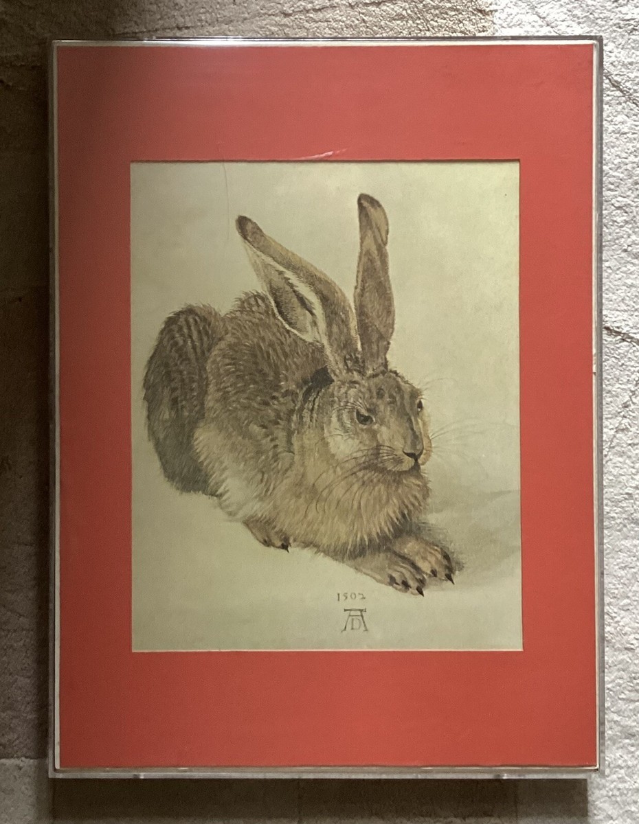 Vintage Mid 20th C. Lithograph Of A Rabbit By Albrecht Duper (1471