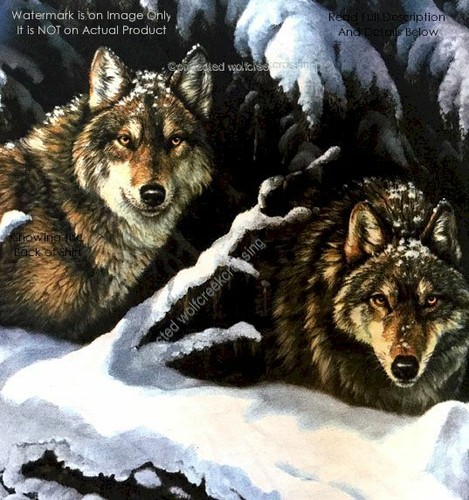 FREE SHIP VINTAGE T SHIRT MOUNTAIN UNISEX TSHIRT SNOW WILD WOLVES WOLF NEW!' - Picture 6 of 10