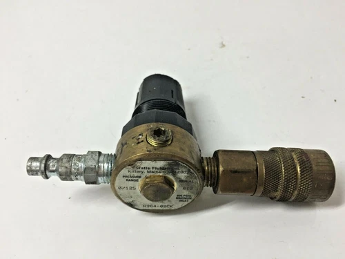 WATTS R364-02CK 1/4" Miniature Pressure Regulator 300 PSIG 0/12S NSMP Brass