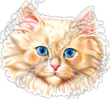 Cute White Kitten Face Cat Cats Furry Pet Car Bumper Vinyl Sticker Decal 4.6"