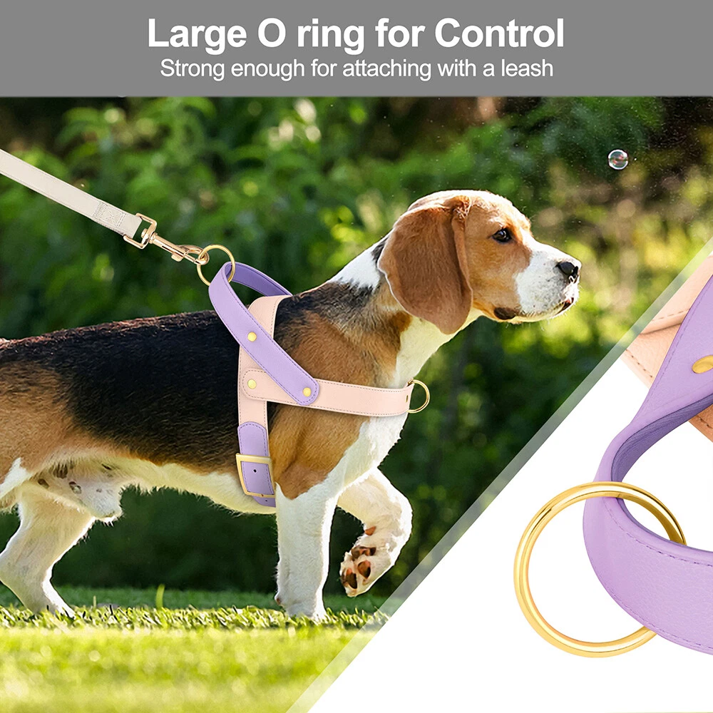 Dog Harness Soft Leather with Handle for Pet Walking Adjustable Front Leading