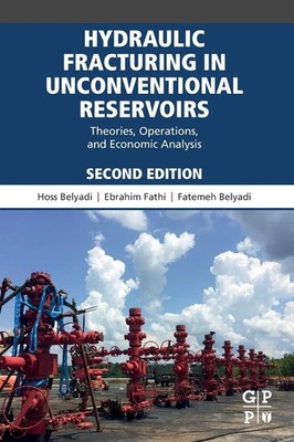 Hydraulic Fracturing in Unconventional Reservoirs Hoss Belyadi (u. a.) Buch 2019