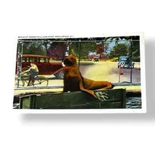 Postcard Seals at Roger Williams Park Providence Rhode Island Linen Card C520