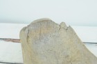 Bild 4 von 12