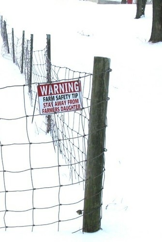 " FARMERS DAUGHTER" 10"X7" WARNING SAFETY SIGN - Picture 2 of 5