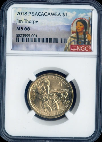 2018 P Native Sacagawea Dollar $1 NGC MS 66 Jim Thorpe Quality✔️