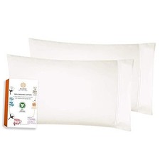 Organic Cotton Pillow Cases - Standard Standard Pillowcase Pair Ivory