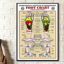 Foot Reflexology Chart by Institute of Reflexology, Home Living Decor