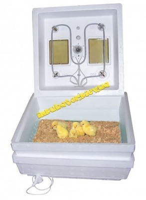 Incubator Nursery for chicks Kurchatko for heating young birds