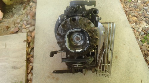 Briggs & Stratton Benzinmotor Rasenmäher Teilmotor Classic, Sprint, Quattro