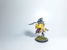 Warhammer AoS Loonboss on Giant Cave Squig painted