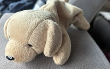 Rare Beanie Baby Fetch The Dog 97/98 Several Tag Errors Ty Collectible Plush Toy