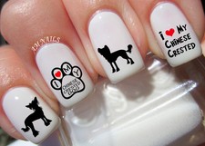 Adesivi Nail Art Cane Crestato Cinese Trasferibili Decalcomanie Set di 40 - A1206