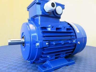 Elektromotor Drehstrom 3kW S6 3000/min Welle 24mm 90L B3(Fuß)