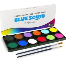 PRO Professional Face Painting Kit - 12 Color Palette with 2 Brushes, Face  ...