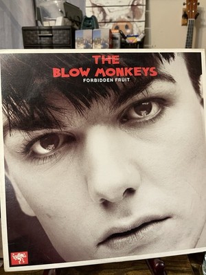 THE BLOW MONKEYS FORBIDDEN FRUIT VINYL LP 1985 RCA  MFL1-8527