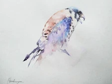 Falcon, Birds, Watercolor artwork, Handmade, Original painting on paper