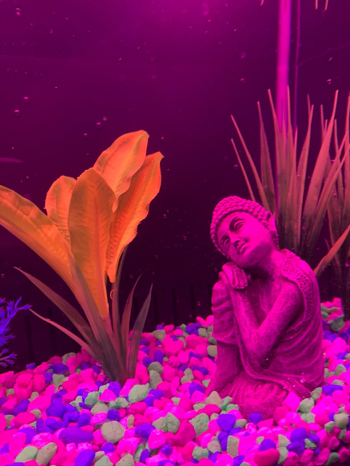 top fin dazzle aquarium filter