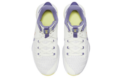 新品未開封スタートレックネクストジェネレーションコンティニューイング・ミッション Nike LeBron Witness 5 Summit White Metallic Bronze CQ9381